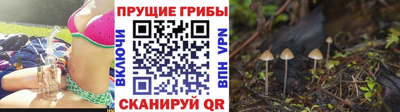 Галлюциногенные грибы мухоморы Купить Орлов